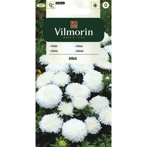 Aster chiński karłowy Albit 0,5 g