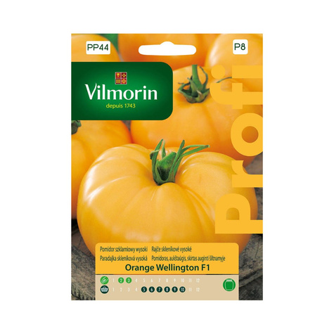 Pomidor szklarniowy Orange Wellington Mieszaniec F1 0,1g