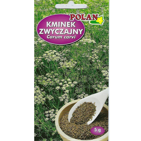 Kminek Kończewicki 5g