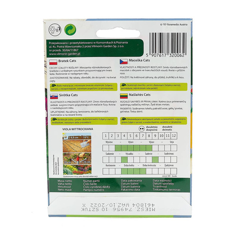 Bratek Fiołek ogrodowy szwajcarski Cats 10szt mieszanka