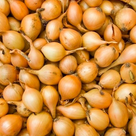 Cebula dymka żółta 0,25kg (STURON)