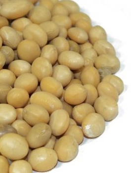 SOJA ziarno 400g
