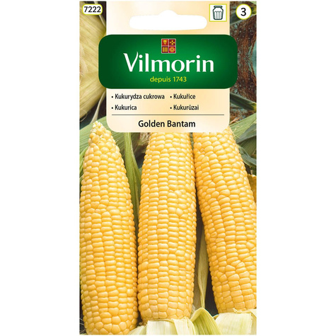 Kukurydza cukrowa Golden Bantam 20g