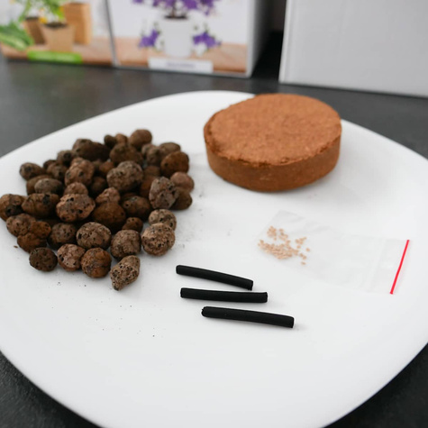 Zestaw do uprawy Kolorowe Kaktusy Mix odmian