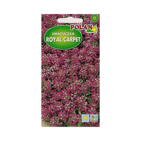 Smagliczka nadmorska Royal Carpet amarantowo-fioletowa 1g