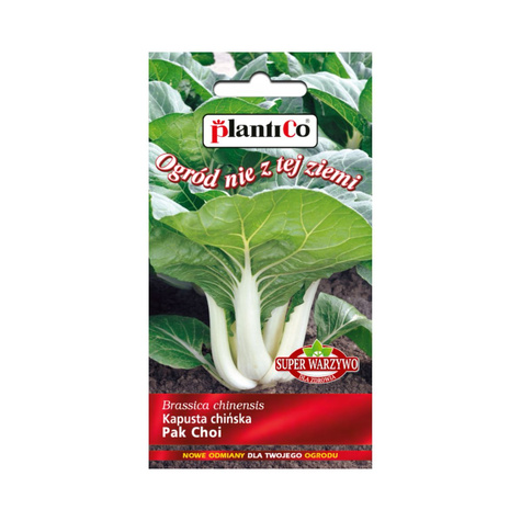 Kapusta chińska Pak Choi 0,1g