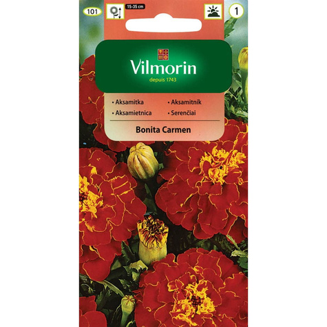 Aksamitka rozpierzchła pełna Bonita Carmen 1g