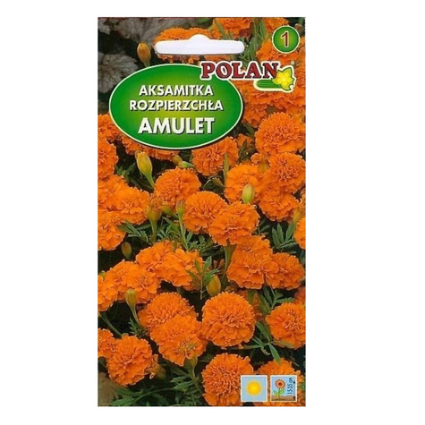 Aksamitka rozpierzchła niska pełna pomarańczowa 1g