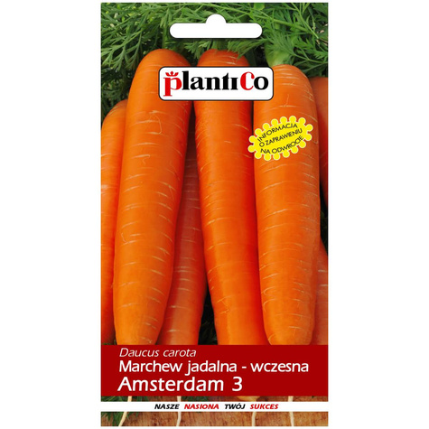 Marchew jadalna Amsterdam 3 Amsterdamska wczesna 5g