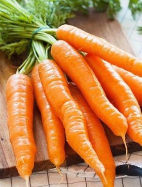 Marchew jadalna Flakkese 2 Flacoro taśma nasienna 7m