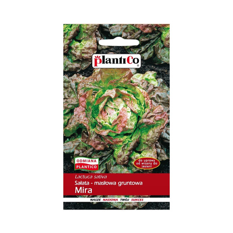 Sałata masłowa Mira wczesna 1g