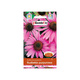 Rudbekia purpurowa 0,5 g Plantico