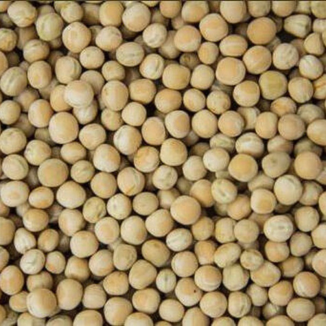 Groch siewny cena za 1 kg