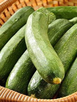 Dynia zwyczajna Cukinia ASTRA POLKA 3g