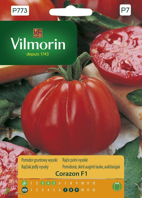 Pomidor gruntowy wysoki Malinowy Corazon F1 Bawole Serce 0,1g