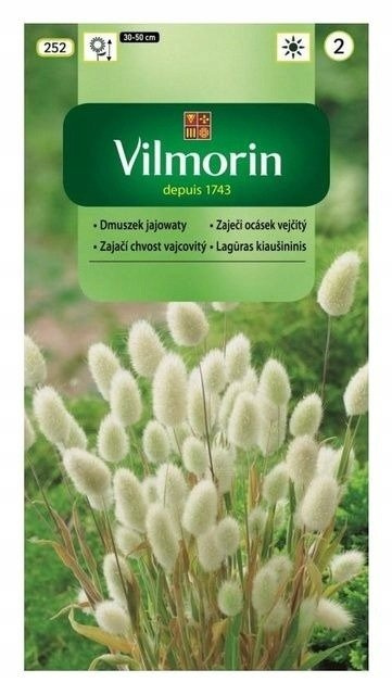 Trawa ozdobna Dmuszek jajowaty 1g