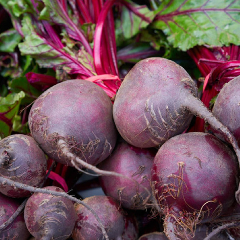 Burak ćwikłowy Okrągły Ciemnoczerwony 10g