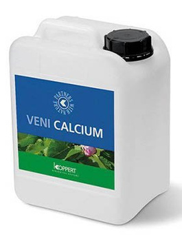 Veni Calcium 5 l - uzupełnia niedobór wapnia