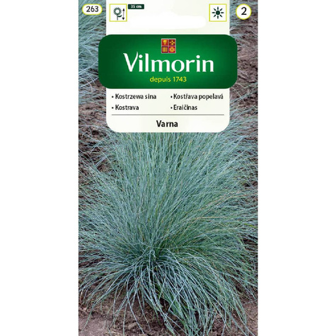 Kostrzewa sina Varna