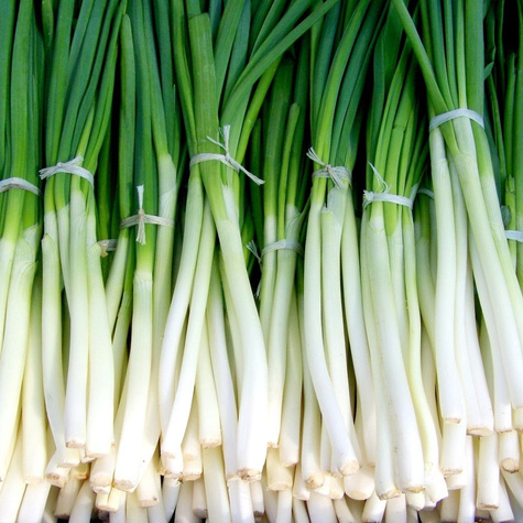 Cebula siedmiolatka Bajkal zimowa 500g
