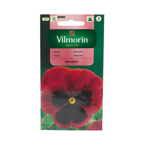 Bratek ogrodowy wielkokwiatowy Szwajcarski Abendglut 0,5g