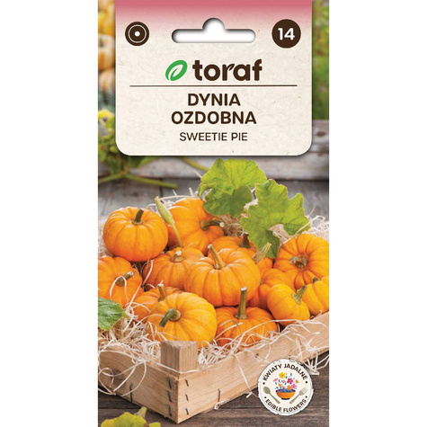 Dynia ozdobna Sweetie Pie 2g