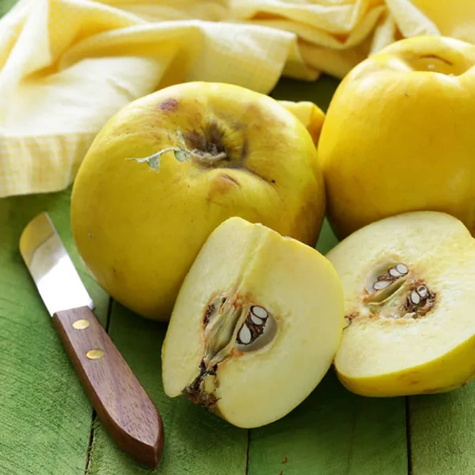 Pigwa jabłkowa szczepiona Plant Pack