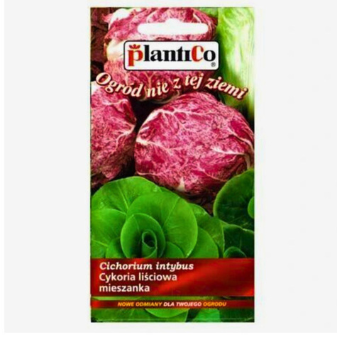 Cykoria liściowa Mieszanka 0,2g