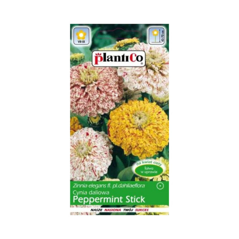 Cynia wytworna daliowa Peppermint Stick nakrapiane płatki 1g