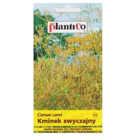 Kminek zwyczajny 3g