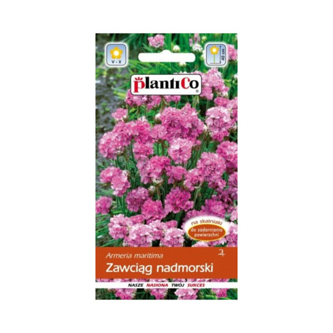 Zawciąg nadmorski 0,3g