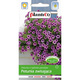 Petunia ogrodowa zwisająca fioletowa 0,05g