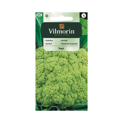 Kalafior średniopóźny Trevi F1 zielony 0,1g