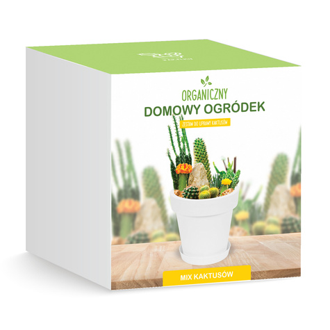 Zestaw do uprawy Kolorowe Kaktusy Mix odmian