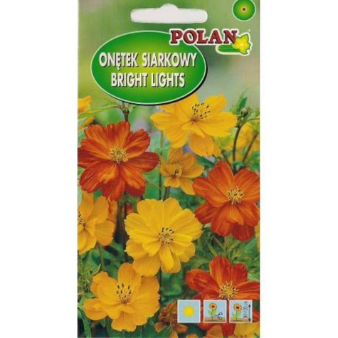 Onętek Kosmos siarkowy Bright Light 1g