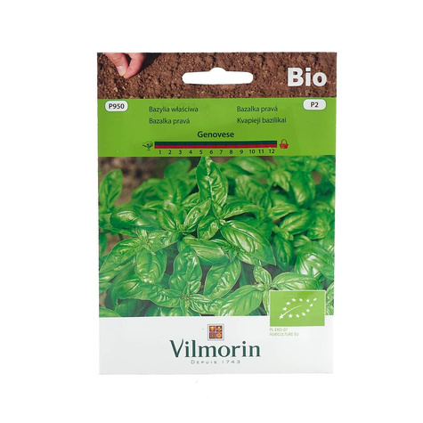 Bazylia Genovese - nasiona ekologiczne BIO