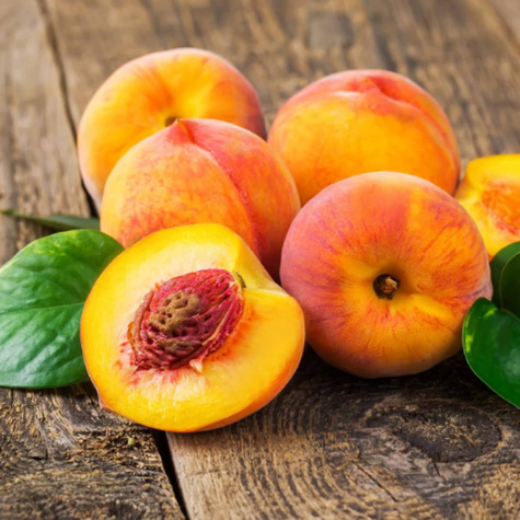 Brzoskwinia Envoy Plant Pack