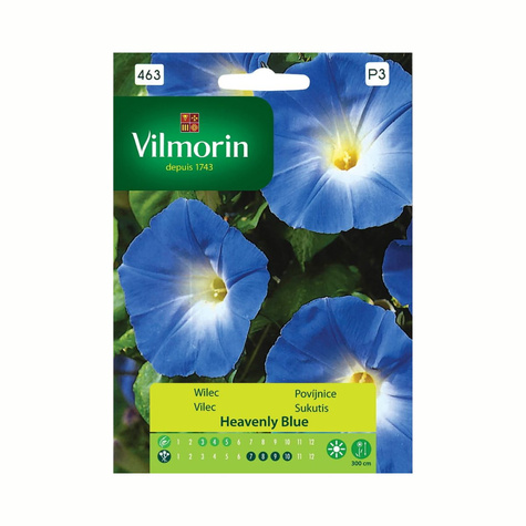 Wilec purpurowy Heavenly Blue 1g