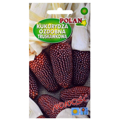 Kukurydza ozdobna truskawkowa 2g Polan