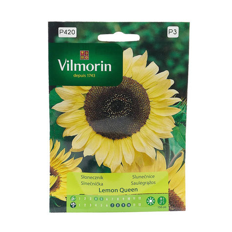 Słonecznik ozdobny Lemon Queen 0,5g