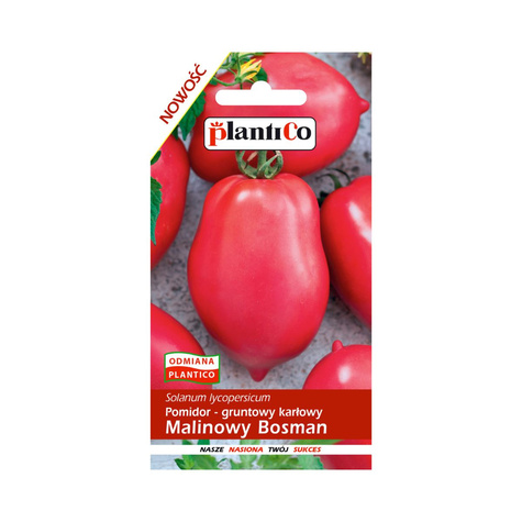 Pomidor gruntowy karłowy Malinowy Bosman 0,5g