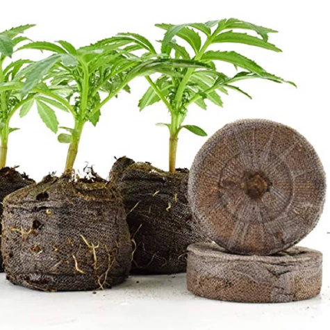 Krążki torfowe pęczniejące 33mm zestaw 10 szt.