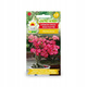 Róża pustyni Adenium opasłe 5szt nasion