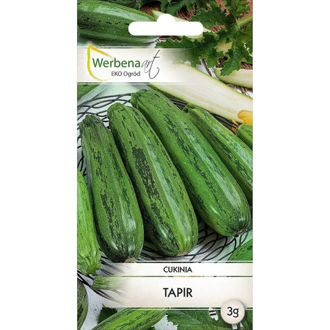 Dynia zwyczajna - Cukinia Tapir 3g