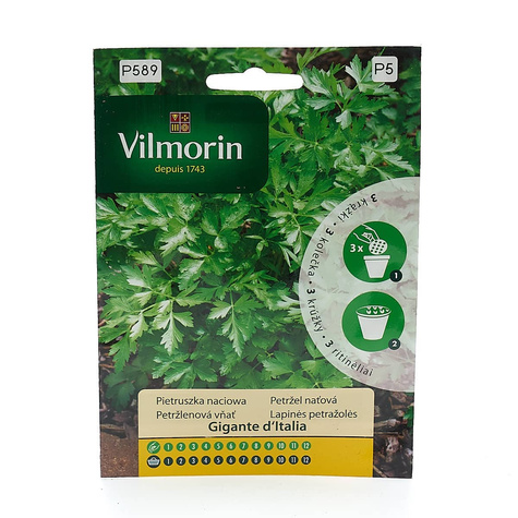 Pietruszka naciowa Gigante D'Italia Nasiona na krążku gładka 2szt
