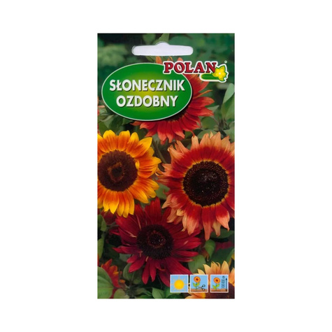 Słonecznik ozdobny wysoki odcienie czerwone 5g