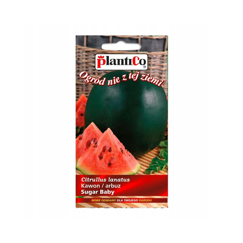 Arbuz Kawon Sugar Baby 2g