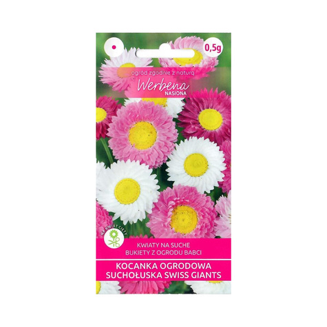 Kocanka ogrodowa suchołuska Swiss Giant 0,5g