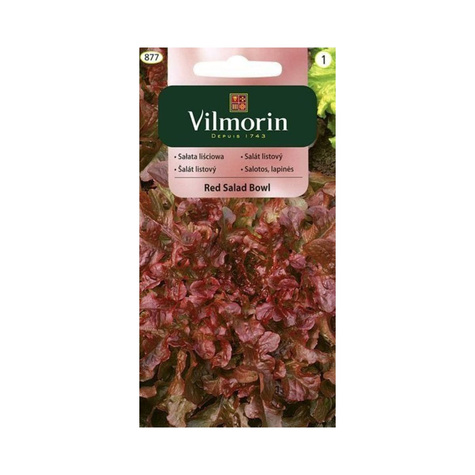 Sałata liściowa Red Salad Bowl czerwonolistna 1g