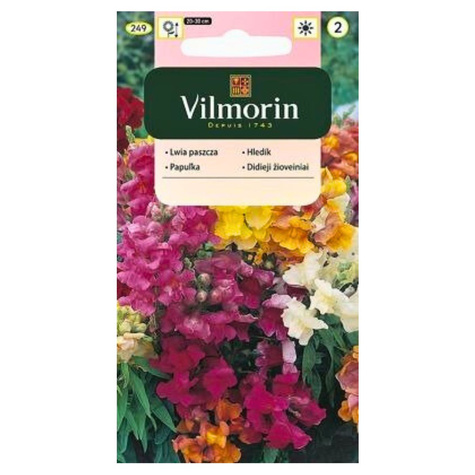 Lwia paszcza niska Wyżlin mix 1g Vilmorin